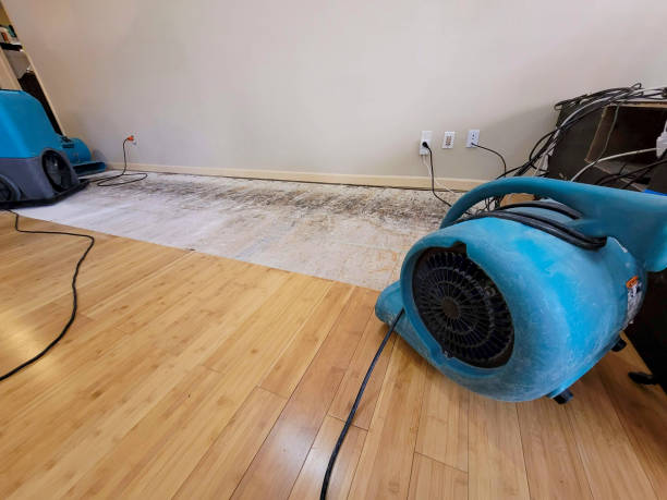 Professional Water Damage Repair technician working in Carrollton, MI